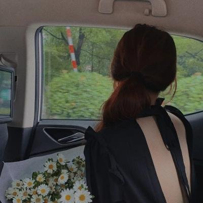 我家娶了花木兰